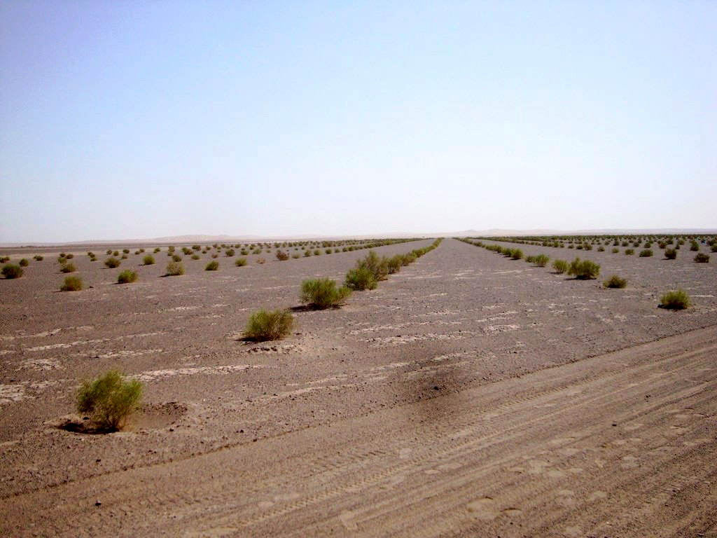 گالری بیابان